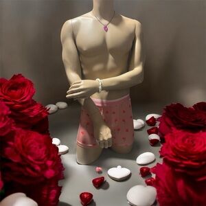 American Eagle Outfitters Pink Boxer Briefs